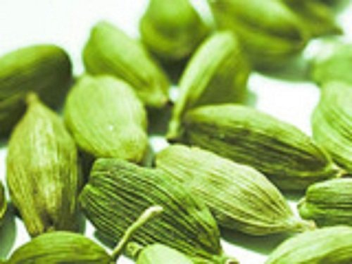 Cardamom
